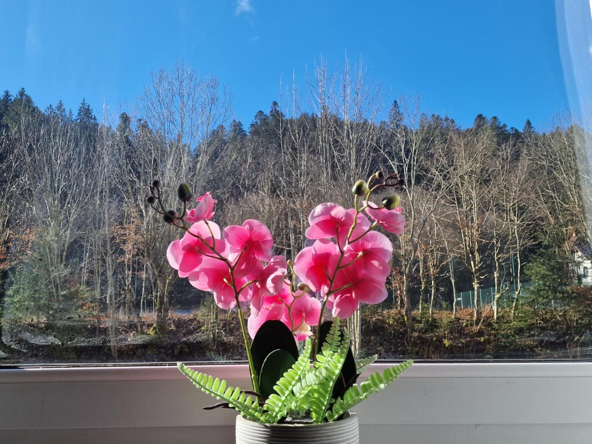 Holiday Apartment Near Triberg Waterfall Triberg im Schwarzwald Exteriör bild
